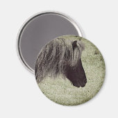 Liebe, dass Long Mane, Mini Mare, Grunge Magnet (Vorderseite/Rückseite)