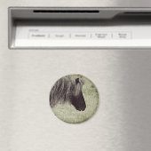 Liebe, dass Long Mane, Mini Mare, Grunge Magnet (In Situ (Geschirrspüler))