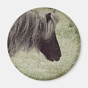 Liebe, dass Long Mane, Mini Mare, Grunge Magnet
