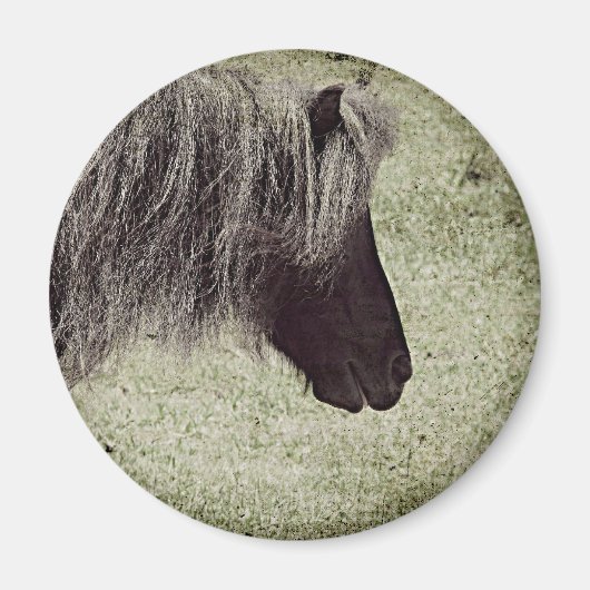 Liebe, dass Long Mane, Mini Mare, Grunge Magnet (Vorne)