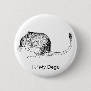 Liebe Degus - Buttone Button