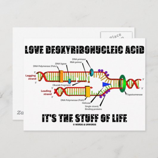 Liebe Deoxyribonukleinsäure Es ist das Leben Postkarte (Vorne/Hinten)
