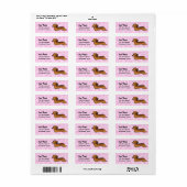 Liebe der Dackel (langhaarig) (Vorne)