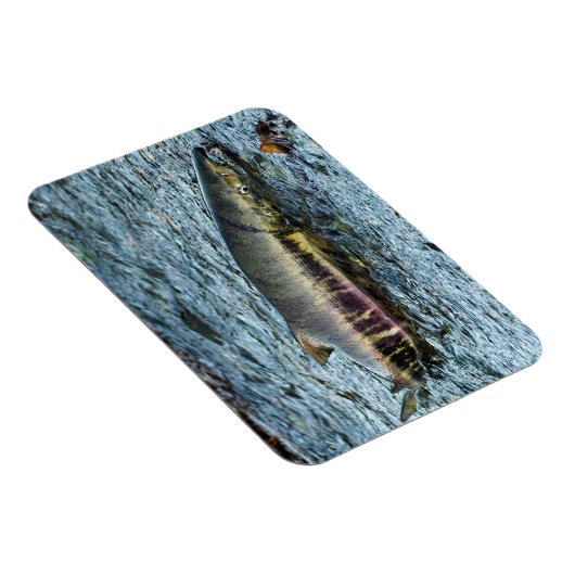 Liebe der Fischer Magnet (Rechte Seite)