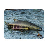 Liebe der Fischer Magnet (Horizontal)