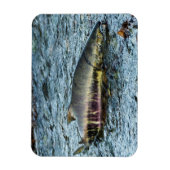 Liebe der Fischer Magnet (Vertikal)