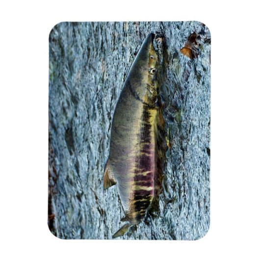 Liebe der Fischer Magnet (Vertikal)