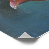 Liebe der jungen Guinea Poster (Ecke)