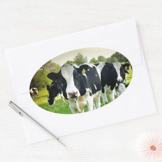 Liebe der Kühe Ovaler Aufkleber (Umschlag)