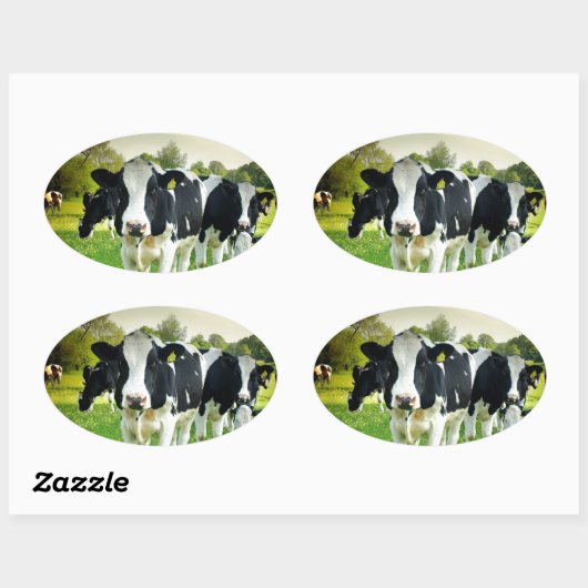 Liebe der Kühe Ovaler Aufkleber (Blatt)