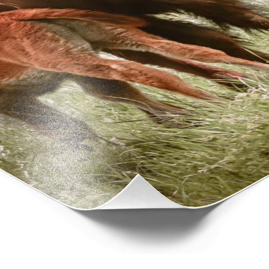 Liebe der Mütter Fotodruck (Ecke)