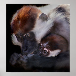 Liebe der Mütter Poster