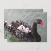 Liebe der Mütter Postkarte (Vorne/Hinten)