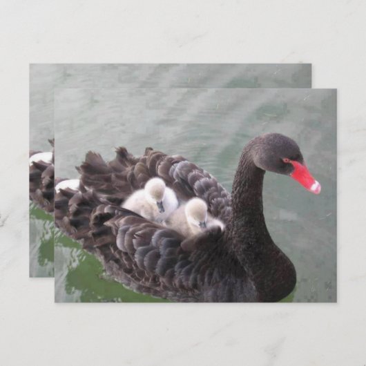 Liebe der Mütter Postkarte (Vorne/Hinten)