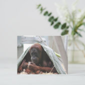 Liebe der Mütter Postkarte (Stehend Vorderseite)