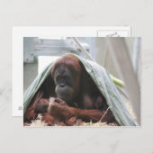 Liebe der Mütter Postkarte (Vorne/Hinten)