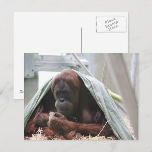 Liebe der Mütter Postkarte (Vorne/Hinten)