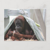 Liebe der Mütter Postkarte (Vorderseite)