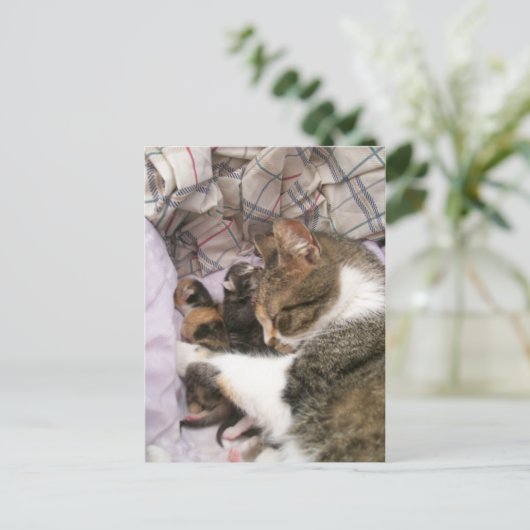 Liebe der Mütter Postkarte (Stehend Vorderseite)