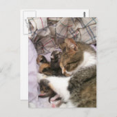 Liebe der Mütter Postkarte (Vorne/Hinten)