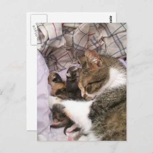 Liebe der Mütter Postkarte (Vorne/Hinten)