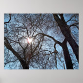 Liebe der Natur Poster (Vorne)