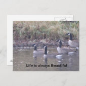 Liebe der Natur Postkarte (Vorne/Hinten)