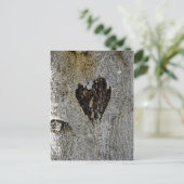 Liebe der Natur Postkarte (Stehend Vorderseite)