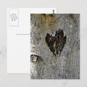 Liebe der Natur Postkarte (Vorne/Hinten)