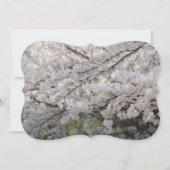 Liebe der Vögel Zweige Destiny Destiny's Einladung (Rückseite)