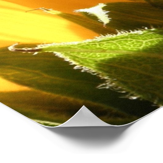 " Liebe der Zukunft - Freie Ai Weiwei " Große Plak Poster (Ecke)