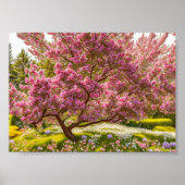 Liebe des Frühlings Poster (Vorne)