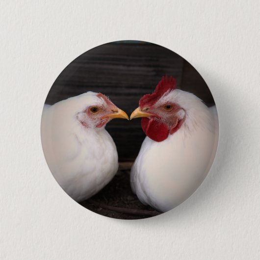 Liebe des Hühners Button (Vorderseite)