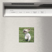 Liebe des Lebens Magnet (In Situ (Geschirrspüler))