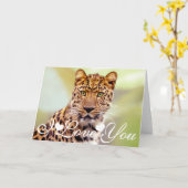 Liebe des Leopard-Fotografie-Bild-I Sie Karte (Gelbe Blume)