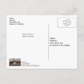 Liebe des Pferdes Postkarte (Rückseite)