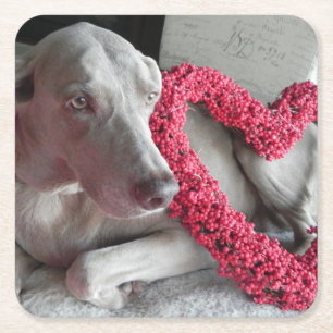 Liebe des Regens - Weimaraner Dog Paper Untersetze Rechteckiger Pappuntersetzer