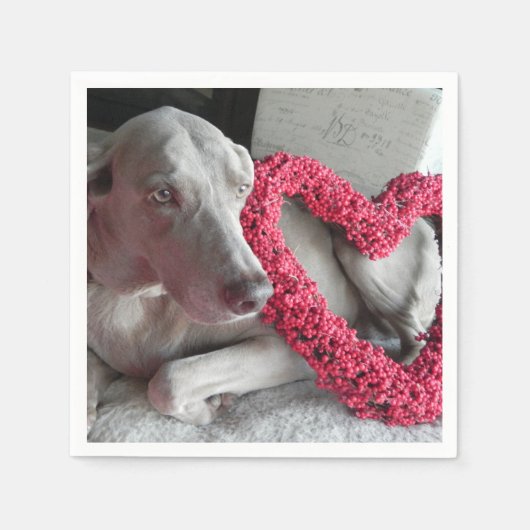 Liebe des Regens - Weimaraner Hund Napkins Serviette (Vorderseite)