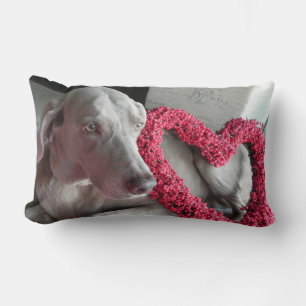 Liebe des Regens - Weimaraner-Hundepic - Kissen