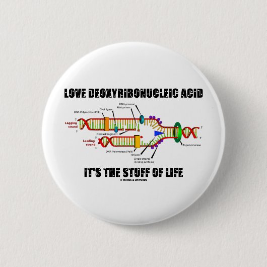 Liebe-Desoxyribonukleinsäure ist es das Material Button (Vorderseite)