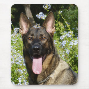 Liebe Deutsche Schäferhund Welpe Hund Portrait Mau Mousepad