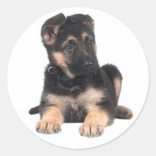 Liebe Deutsche Schäferhund Welpen Aufkleber