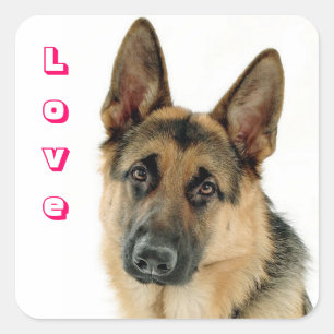 Liebe Deutsche Schäferhund Welpen Hund Aufkleber