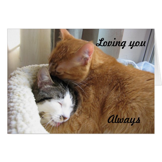 Liebe dich, immer 036 (Vorderseite (Horizontal))