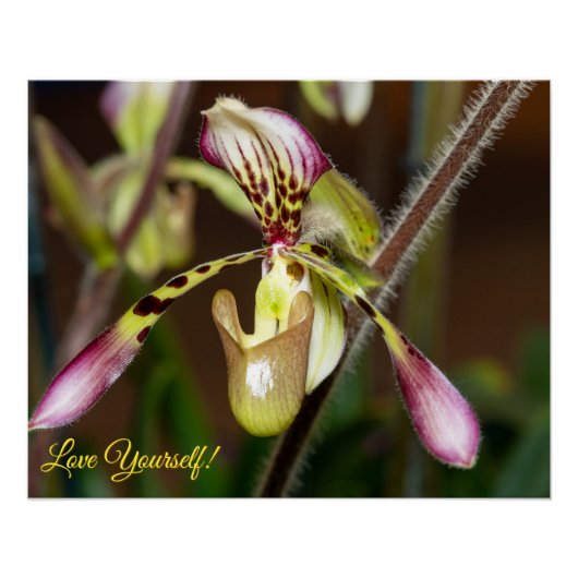 Liebe dich selbst Orchidee Poster (Vorderseite)