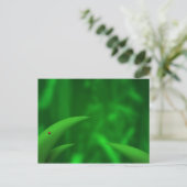 Liebe die Grüntöne! Postkarte (Stehend Vorderseite)