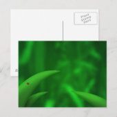 Liebe die Grüntöne! Postkarte (Vorne/Hinten)