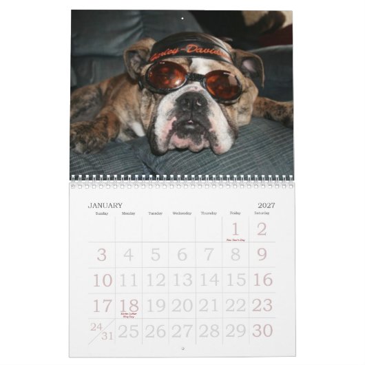 Liebe diese Bulldogge Calander Kalender (Jan 2027)
