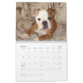 Liebe diese Bulldogge Calander Kalender (Mär 2027)
