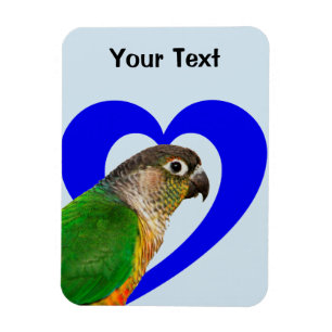 Liebe dieser Conure Magnet
